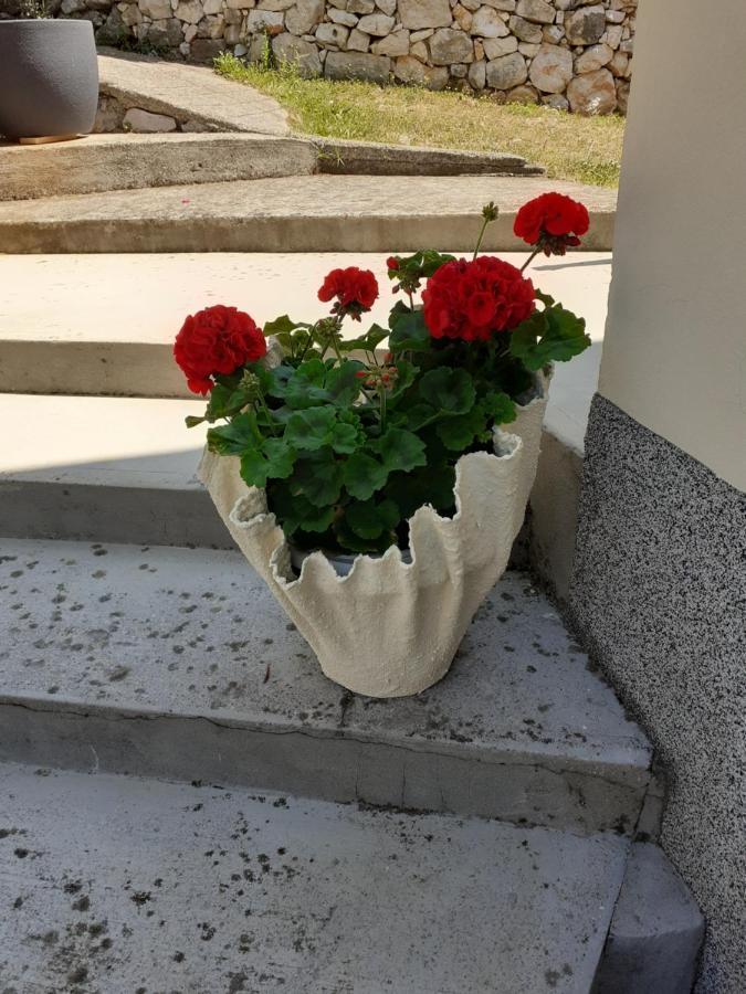 Apartman Danijela Zagorje Zewnętrze zdjęcie