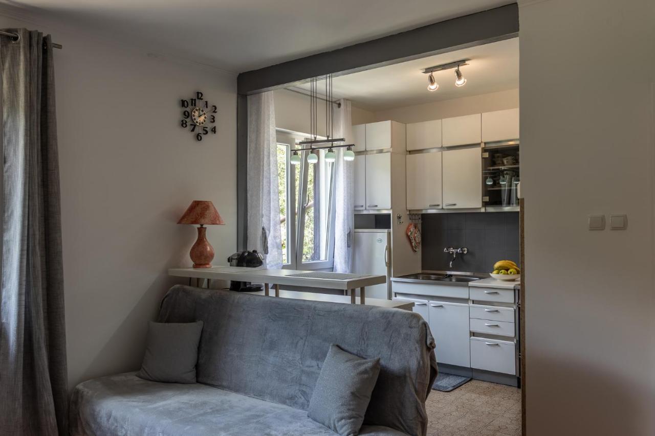 Apartman Danijela Zagorje Zewnętrze zdjęcie