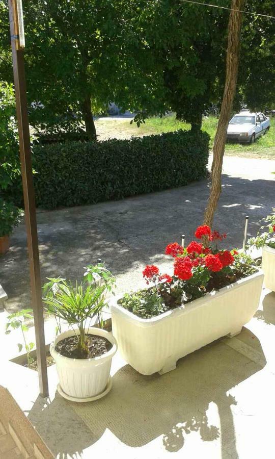 Apartman Danijela Zagorje Zewnętrze zdjęcie